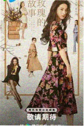 双女主古装剧长夜合谋竖版海报